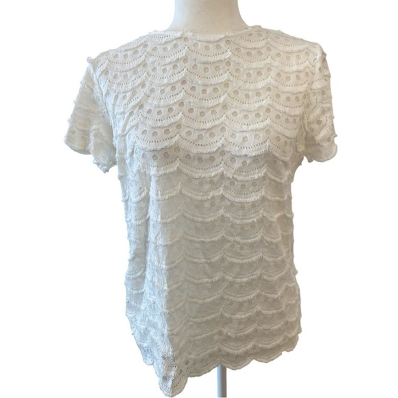 Sara Campbell Womens White Lacey Sheer Top Blouse Size Small Casual Preppy - Picture 2 of 8